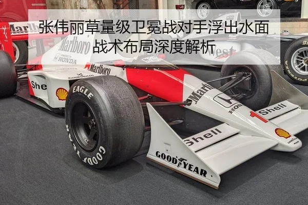 张伟丽草量级卫冕战对手浮出水面 战术布局深度解析
